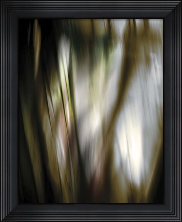 Framed Organic III Print