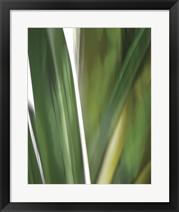 Framed Organic IV Print