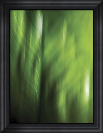 Framed Organic V Print
