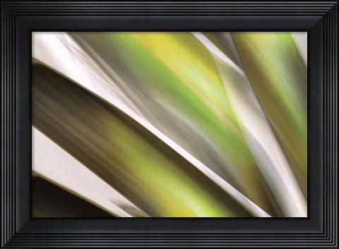 Framed Organic VI Print