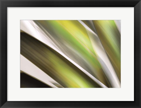 Framed Organic VI Print