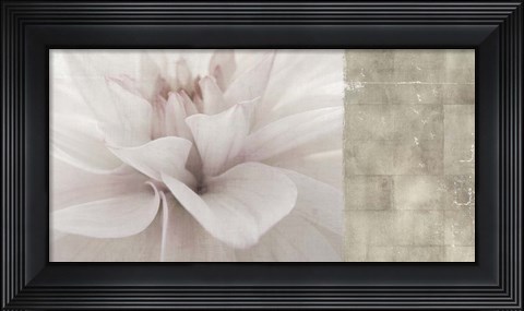 Framed Softness Print