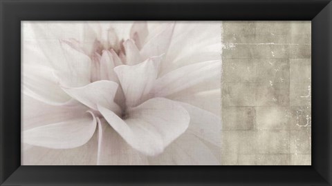 Framed Softness Print