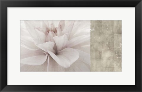 Framed Softness Print