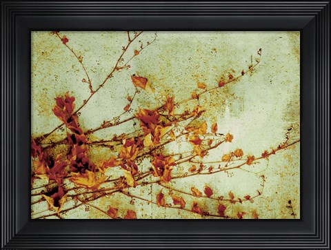 Framed Persimmon Print