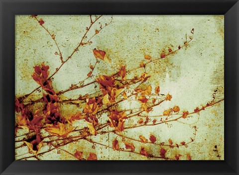 Framed Persimmon Print