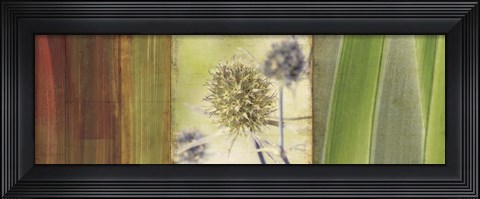 Framed Organics Print