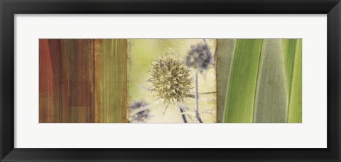 Framed Organics Print