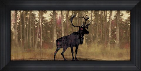 Framed Cold Pine Print
