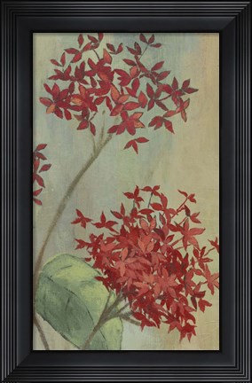Framed Summer Flowers II Print