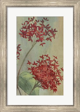 Framed Summer Flowers II Print