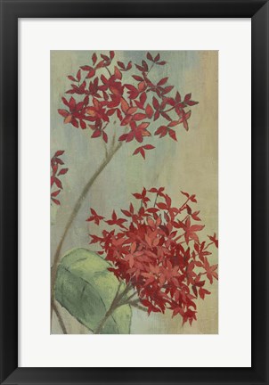 Framed Summer Flowers II Print