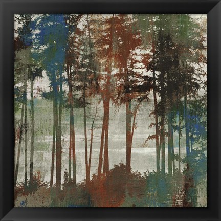 Framed Spruce Woods I Print