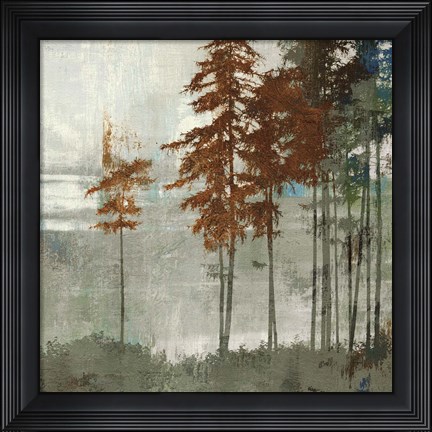 Framed Spruce Woods II Print