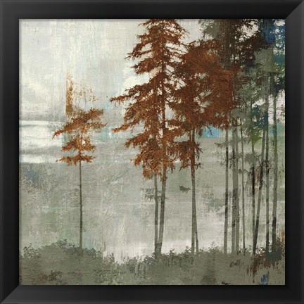 Framed Spruce Woods II Print