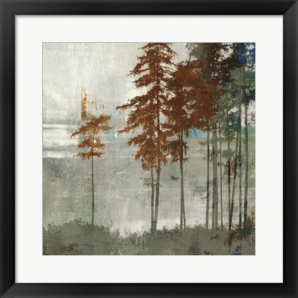 Framed Spruce Woods II Print