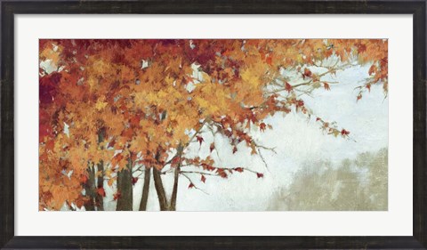 Framed Fall Canopy I Print