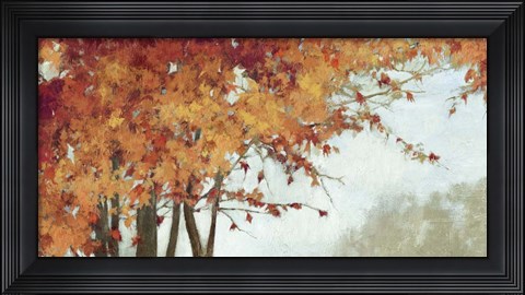 Framed Fall Canopy I Print