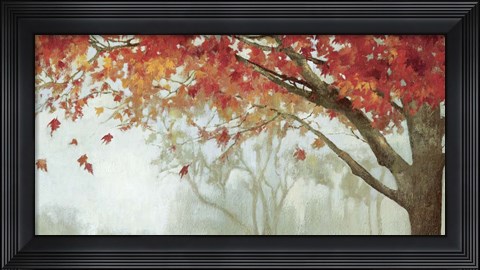 Framed Fall Canopy II Print