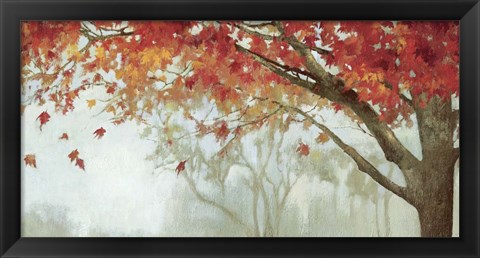 Framed Fall Canopy II Print