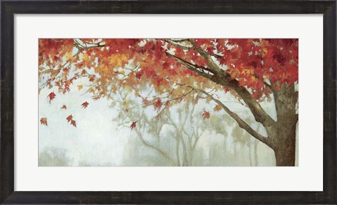 Framed Fall Canopy II Print