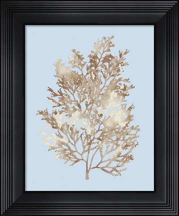 Framed Coral III Print