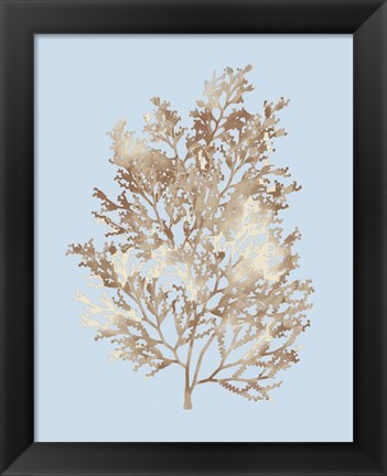 Framed Coral III Print