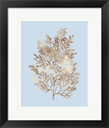 Framed Coral III Print