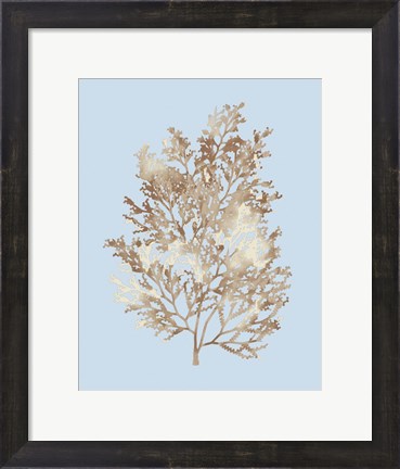 Framed Coral III Print