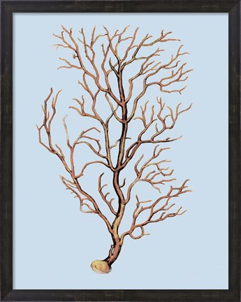 Framed Coral IV Print