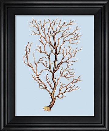 Framed Coral IV Print