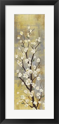 Framed Blossoms II Print