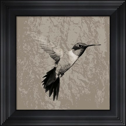 Framed Feathered I Print