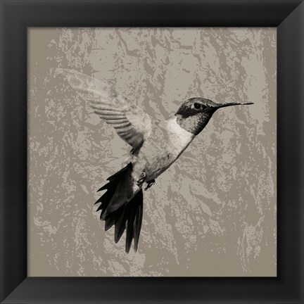 Framed Feathered I Print