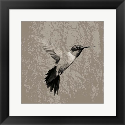 Framed Feathered I Print