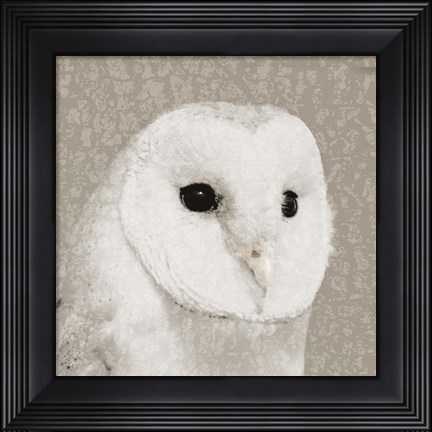 Framed Feathered II Print