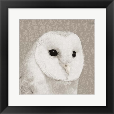 Framed Feathered II Print