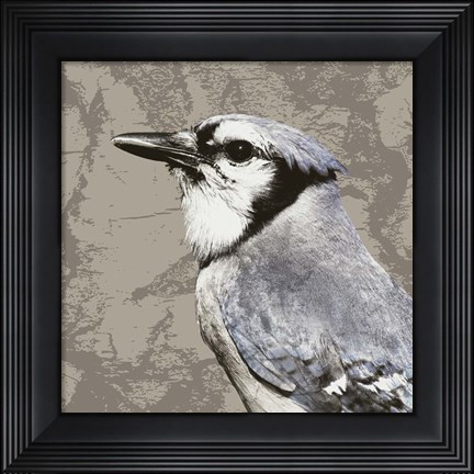 Framed Feathered III Print