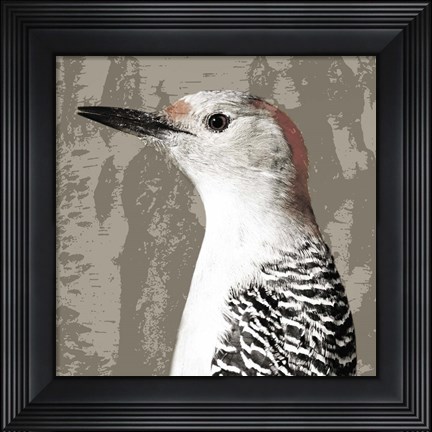 Framed Feathered IV Print