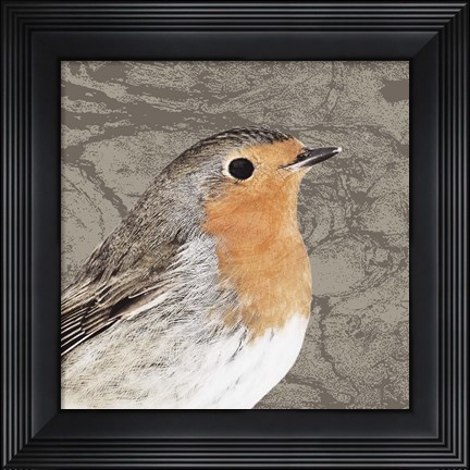 Framed Feathered V Print