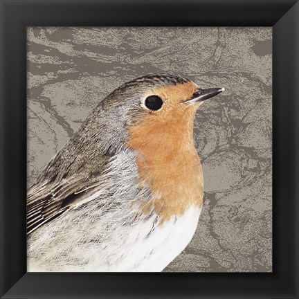 Framed Feathered V Print