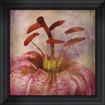 Framed Lovily Lily I Print