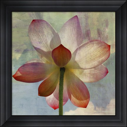 Framed Lovely Lily II Print