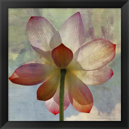 Framed Lovely Lily II Print