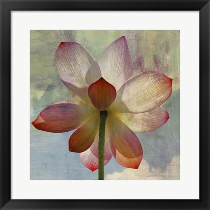 Framed Lovely Lily II Print