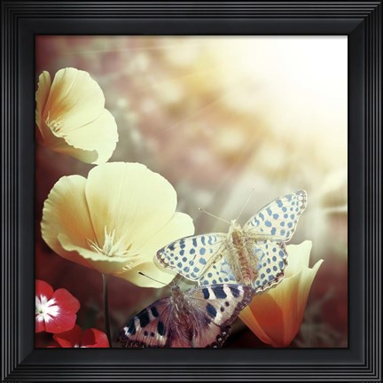 Framed Sunbeam Print