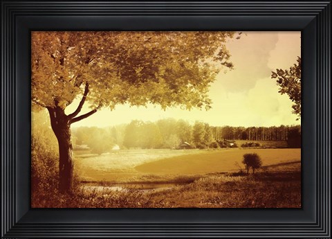 Framed Golden Country Print
