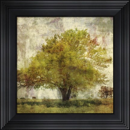 Framed Vintage Tree Print