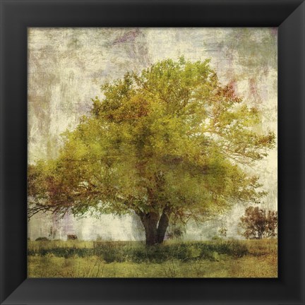 Framed Vintage Tree Print