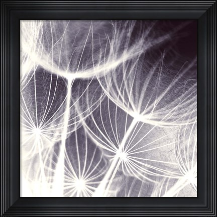 Framed Blown Away Print